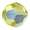 5000 ROUND JONQUIL 213AB